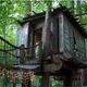 Illustration for article titled Treehouse in the middle of Atlanta